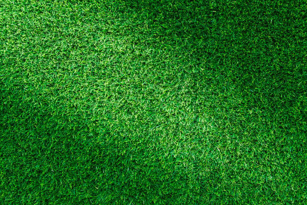 istock Artificial green grass texture for golf course. soccer field or sports background concept design. 852525178