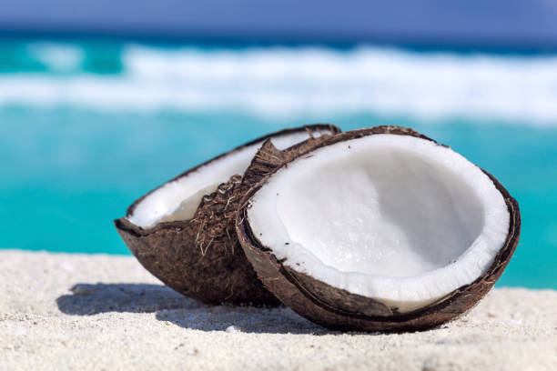 broken brown coconut on sandy beach - sandy brown fotos imagens e fotografias de stock