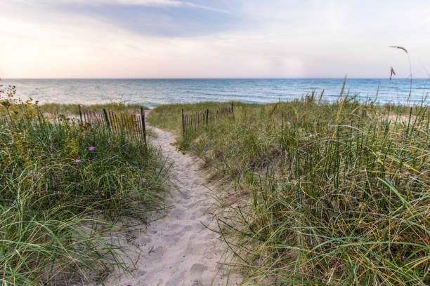 istock Winding Path To A Wide Sandy Beach And Water Horizon 852546030