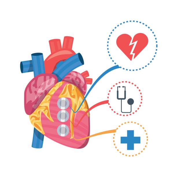 illustrazioni stock, clip art, cartoni animati e icone di tendenza di condizioni cardiache alla prevenzione dell'infarto - pain heart attack heart shape healthcare and medicine