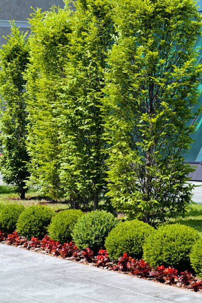 istock surrounding commercial buildings 852550560