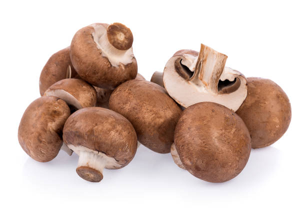 istock Mushroom champignon isolated on white background 852562450