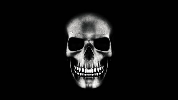 istock Human Skull On Black Background 3D Rendering. Halloween Concept 852567208