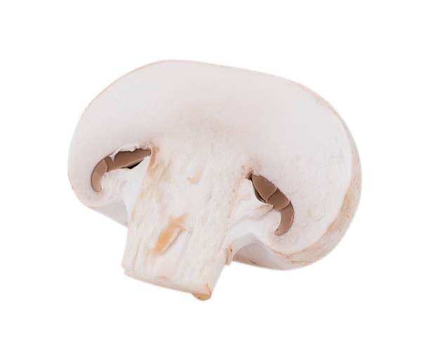 istock white Mushroom champignon isolated on white background 852571814