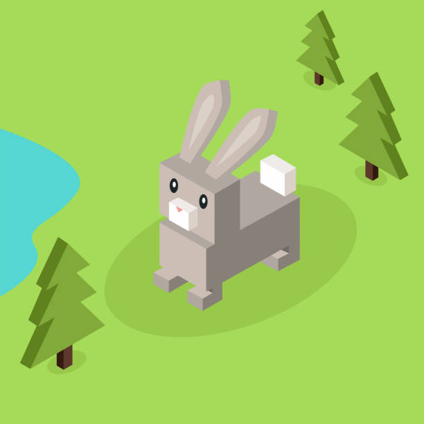 Wild Animal Hare, Rabbit Isometric 3d Design Wild animal hare, rabbit isometric 3d. Wild animals isolated, hare, rabbit isometric, zoo hare, rabbit wild animal, hare, rabbit nature, wildlife flat animal hare, rabbit icon, forest wild animal background of the crazy squirrel stock illustrations