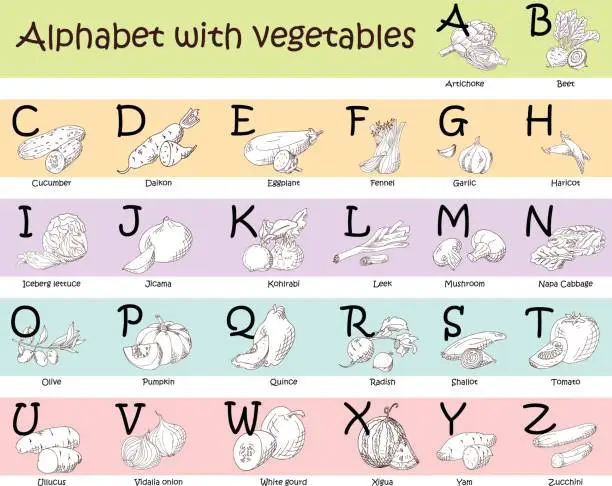 Vector illustration of Alphabet for kids with vegetables. English ABC. Cute modern template