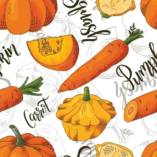 Vector illustration of Sketched vegetables background. Vector seamless pattern with carrot and pumpkin and squash. Hand drawn illustration.