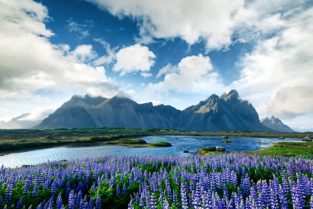istock Famous Stokksnes mountains on Vestrahorn cape 852578858