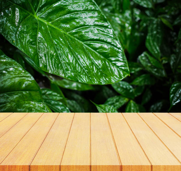 istock Wood floor with Green leaves on the background 852600824