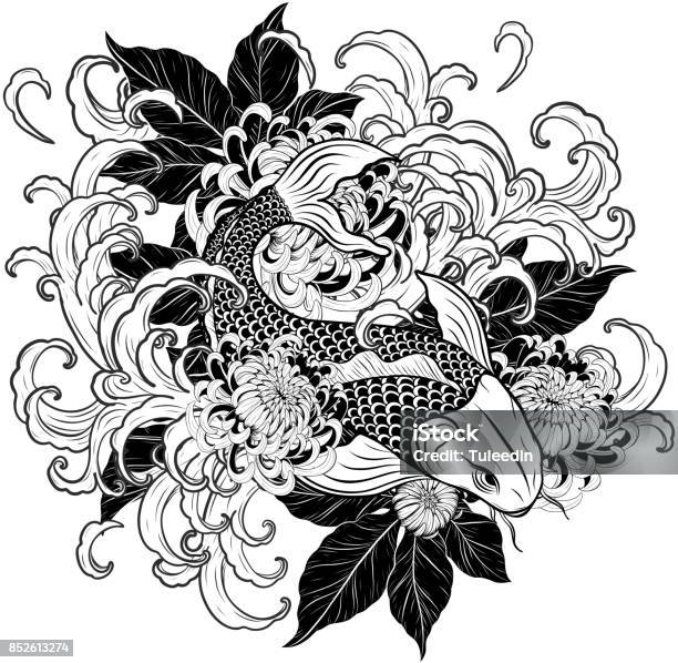 Koi Fisch Und Chrysantheme Tattoo Von Hand Zeichnen Stock Vektor Art und mehr Bilder von Tätowierung