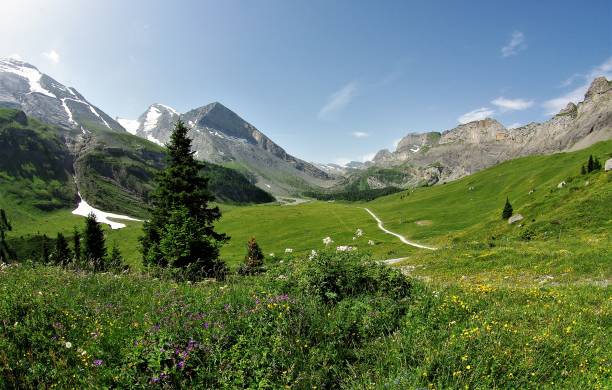 la belleza natural cruda de la gemmi pass y los alpes de wallis, suiza - gemmi fotografías e imágenes de stock