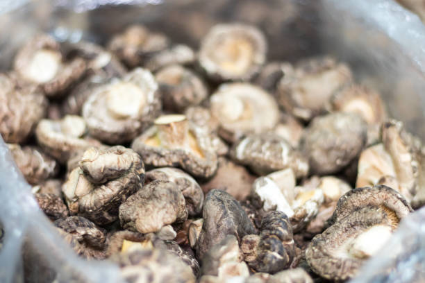 Dried mushroom in plastic bag for sell. - fotografia de stock