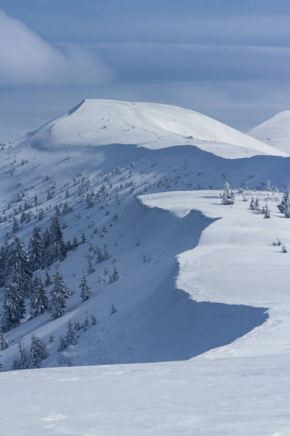 istock Beautiful landscape with snow structure and fir trees in mountains 852640928