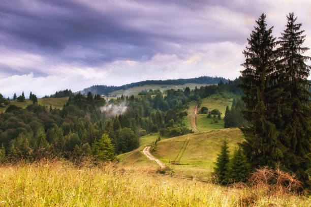 istock Path through the mountain meadow with dramatic sky. Rural autumn landscape 852641572