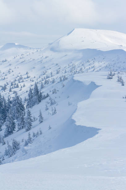 istock Beautiful landscape with snow forms and trees in mountains 852642236