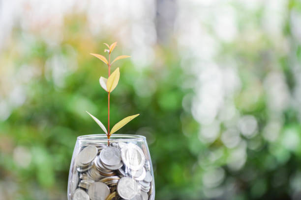 istock Plant is growing from saving money for saving money concept 852645892
