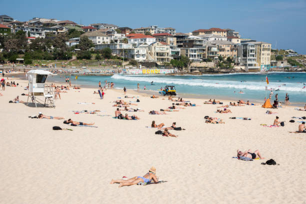 sunbathers and bondi beach landscape - gold coast australia lifeguard sea imagens e fotografias de stock