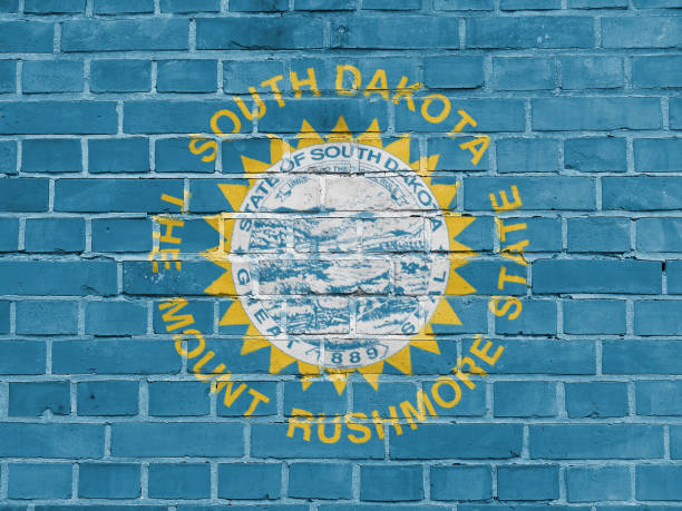 US States Concept: South Dakota Flag Wall Background Texture