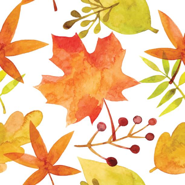 печатать - oak leaf leaf maple leaf autumn stock illustrations