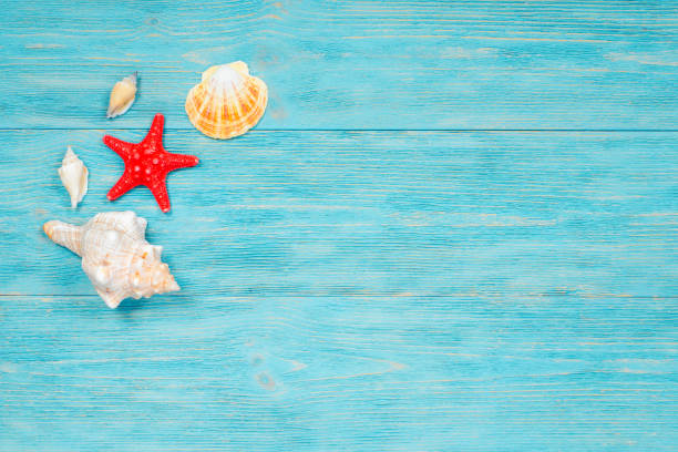 istock red starfish and sea shells over wooden rustic planks 852663272