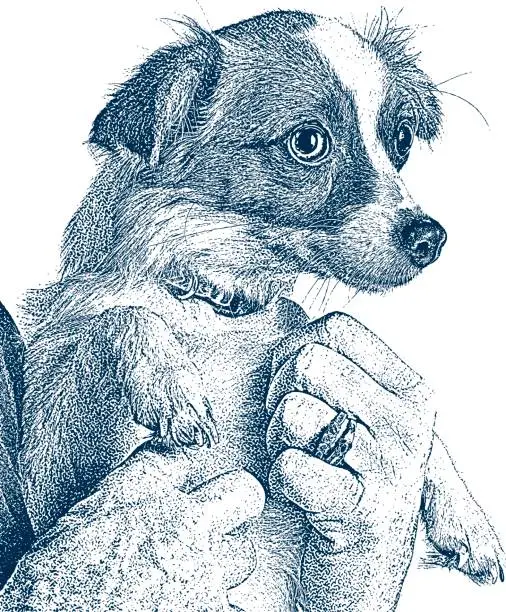 Vector illustration of Cute Puppy held by a senior woman, Papillon