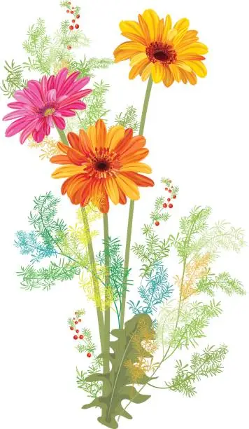 Vector illustration of Bouquet of Gerbera daisy and small green twigs of Asparagus aethiopicus: orange, red flowers, leaves, berries on white background, digital draw, illustration in watercolor style for design, vector