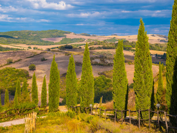 istock Blue sky over the Tuscany in Italy 852677744