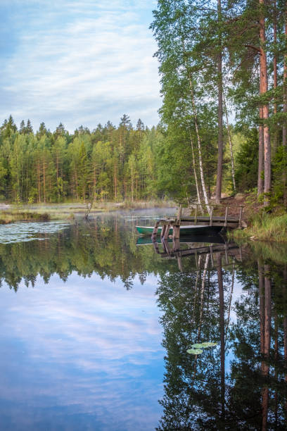 mañana tranquila vista con muelle y lago en temprano en la mañana en el parque nacional de nuuksio, finlandia - musgo apretado fotografías e imágenes de stock