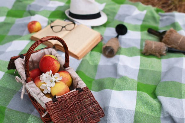 istock basket with food on plaid picnic in spring park 852686482