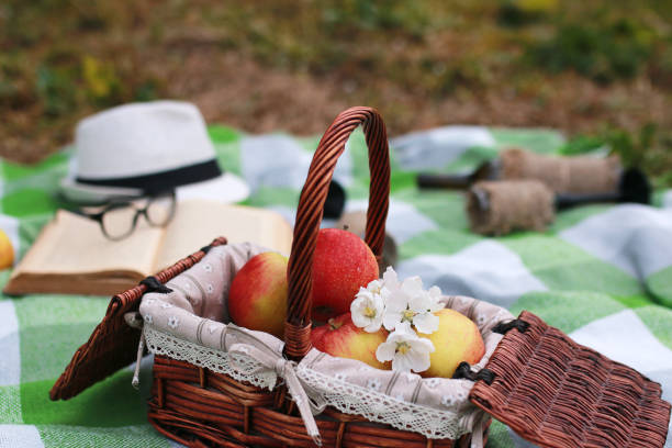 istock basket with food on plaid picnic in spring park 852688614