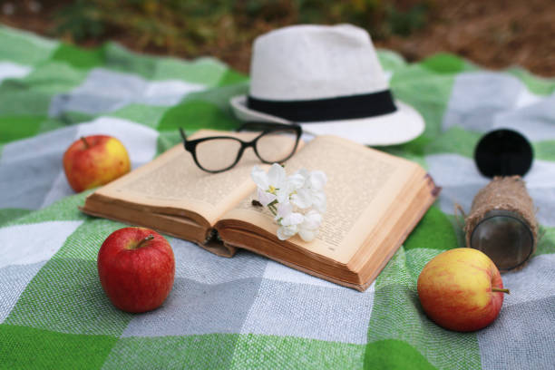 istock basket with food on plaid picnic in spring park 852690742