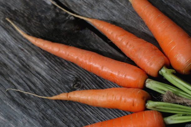 fresh crop of carrots tie beam outdoor nature