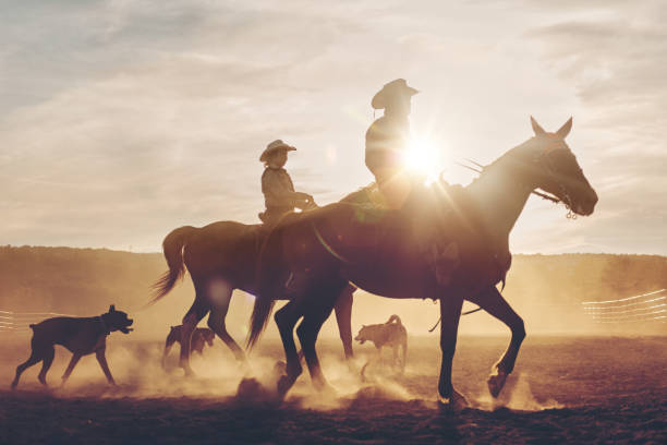 多世代家族ライダー - riding horse for leisure ストックフォトと画像