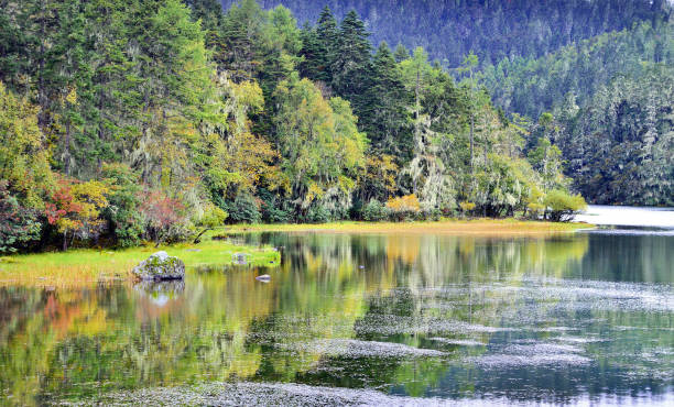 istock The beautiful autumn scenery 852700392