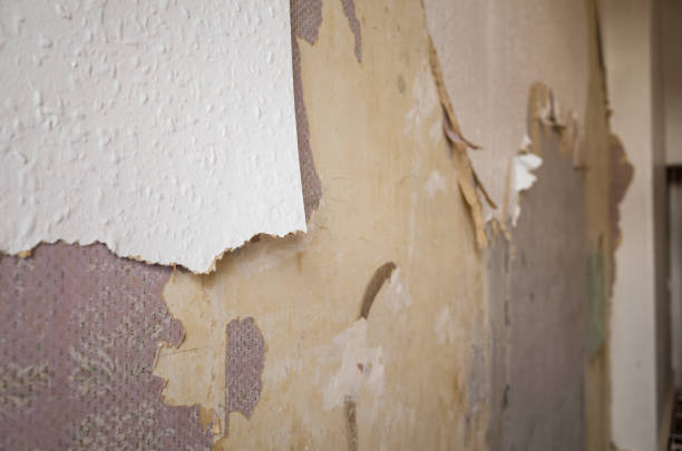 Distressed wallpaper background image. Multiple layers of wallpaper torn and stripped from the wall of an old building during renovation and decoration.