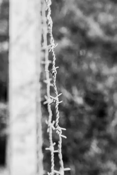 A string of barbed wire