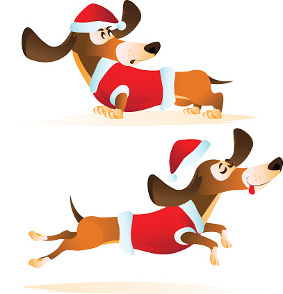 Cartoon brown dachshund in Santa's hat and red jacket in different poses. Hand drawn vector illustration for Christmas and Happy New Year 2018 isolated on white background.