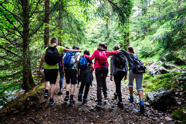 Adventuring teenage friends arm in arm together while hiking in the mountains, Apuseni, Romania Apuseni, Romania - 26 May, 2017: rear view of a group of teenage boys and girls linking arms together while hiking in the forest of the Apuseni mountains in central Romania. The image has a real sense of togetherness, positivity and friendship. Horizontal color image with copy space. field trip stock pictures, royalty-free photos & images