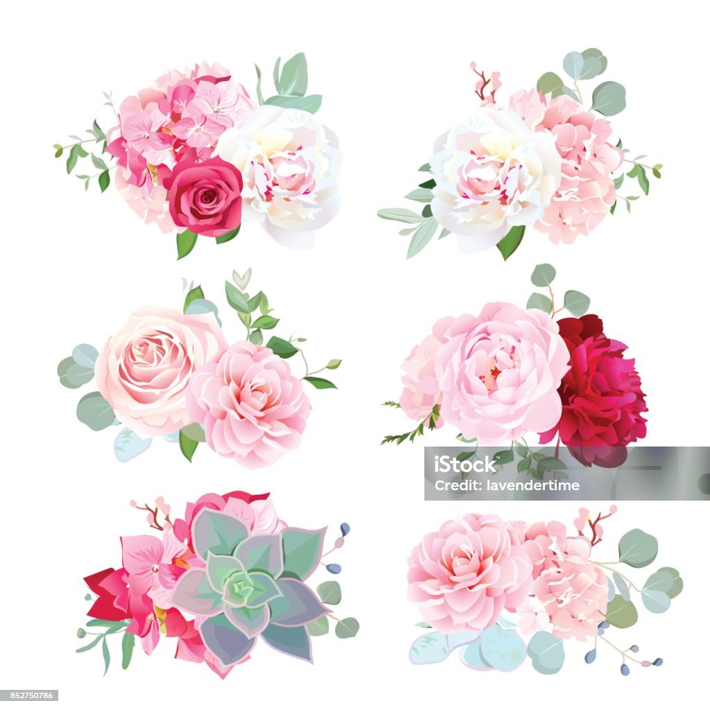 Ramos de novia pequeños de peonía, Hortensia, camelia, color de rosa, succ - arte vectorial de Flor libre de derechos