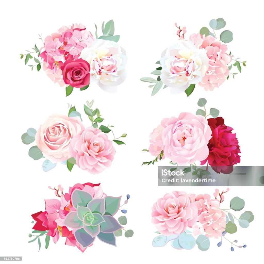 Small wedding bouquets of peony, hydrangea, camellia, rose, succ Small wedding bouquets of white and burgundy red peony, pink hydrangea, camellia, rose, succulents, eucalyptus. Birthday party flowers. Vector design set. All elements are isolated and editable. Flower stock vector