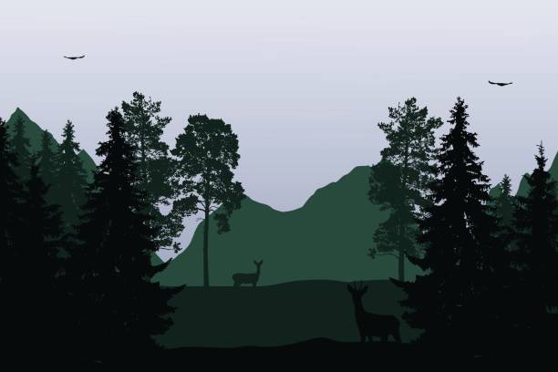 istock Vector illustration of mountain landscape with forest and deer under a grey sky with sunrise and clouds with flying birds 852750908