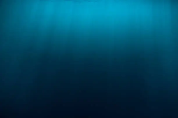 Photo of Water texture in underwater and sun rays. Blue ocean in underwater