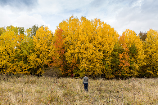 solitude, travelling, country life concept. lonely figure of woman dressed in grey cardigan and simple blue jeans, she is standing in the field nearby with autumn grove