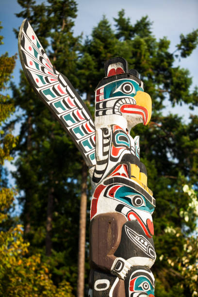 Native totem pole in BC Vancouver: Native American Indian totem pole in Stanley Park, Vancouver British Columbia. Totem poles are monumental carvings, a type of Northwest Coast art, consisting of poles, posts or pillars, carved with symbols or figures. They are usually made from large trees, mostly western red cedar, by indigenous peoples of the Pacific Northwest coast of North America pacific northwest totem poles stock pictures, royalty-free photos & images