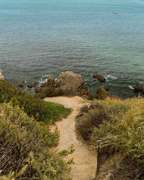 istock Dirt trail leads to ocean view 852785894