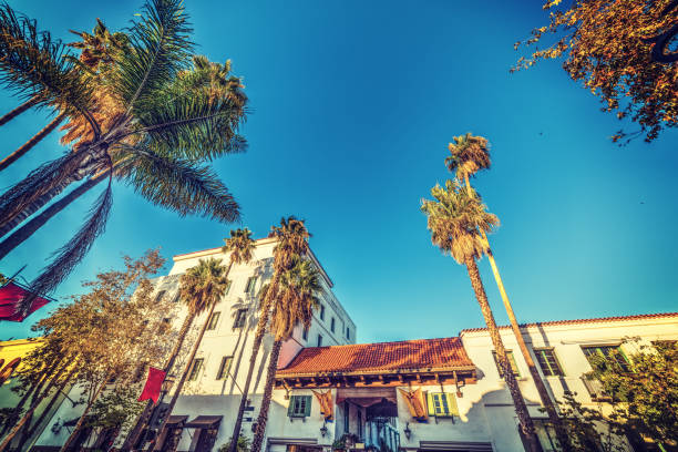 istock Palm trees in State Street, Santa Barbara 852791154