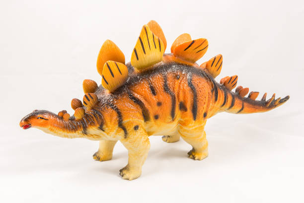 stegosaurus dinosaurier spielzeugmodell - dinosaur toy dino monster stock-fotos und bilder