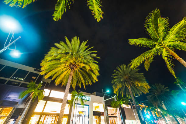 istock Palm trees in Rodeo Drive at night 852798374