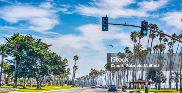 Cabrillo Boulevard In Santa Barbara Stock Photo - Download Image Now - City Of Los Angeles, South, American Culture