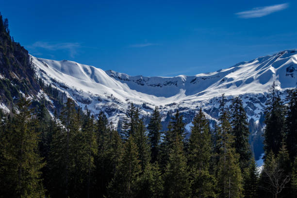 austrian alps - telemark skiing imagens e fotografias de stock